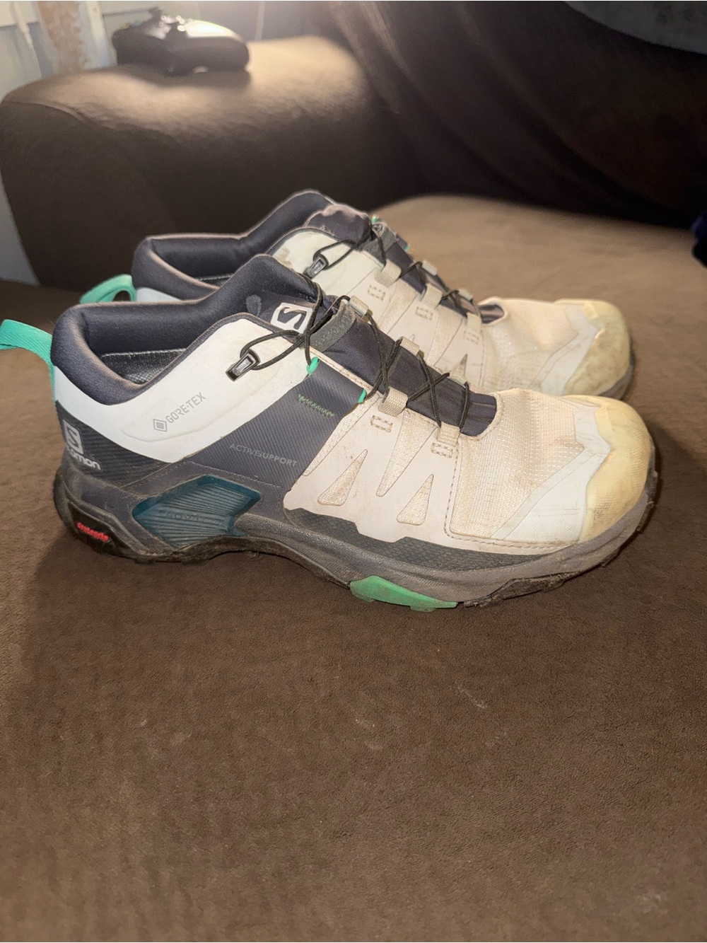 Women's X Ultra 4 Gore-Tex Hiking Shoe In Lunar Rock/Ebony/Mint Leaf